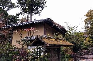 KYOTO - Temple Kinkaku-Ji et Jardins - 18.01.2024 - 20